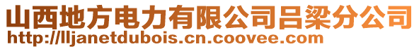 山西地方電力有限公司呂梁分公司