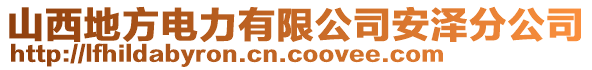 山西地方电力有限公司安泽分公司