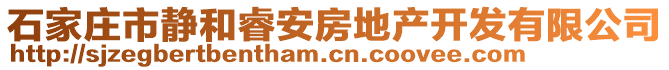 石家莊市靜和睿安房地產(chǎn)開(kāi)發(fā)有限公司