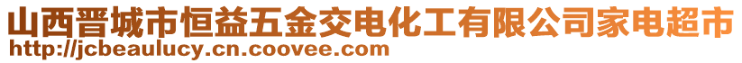 山西晉城市恒益五金交電化工有限公司家電超市