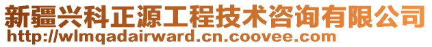 新疆興科正源工程技術咨詢有限公司