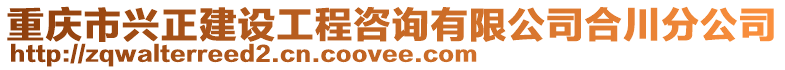 重慶市興正建設(shè)工程咨詢有限公司合川分公司