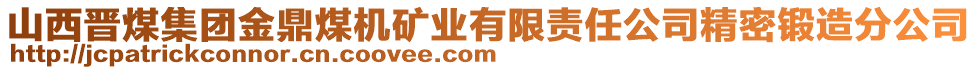 山西晋煤集团金鼎煤机矿业有限责任公司精密锻造分公司