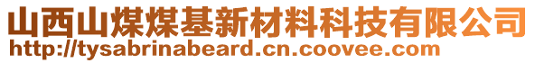 山西山煤煤基新材料科技有限公司