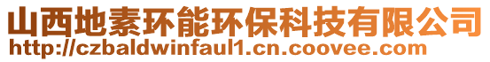 山西地素環能環保科技有限公司