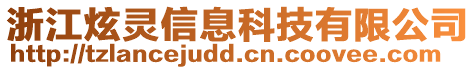 浙江炫靈信息科技有限公司