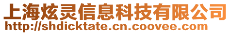 上海炫靈信息科技有限公司