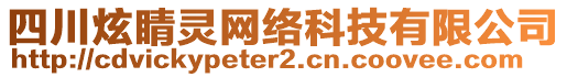 四川炫睛靈網絡科技有限公司