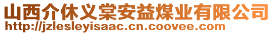 山西介休義棠安益煤業(yè)有限公司