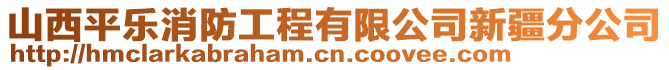 山西平樂消防工程有限公司新疆分公司