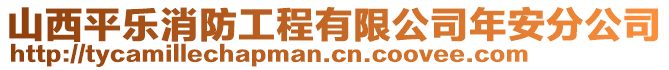 山西平樂消防工程有限公司年安分公司