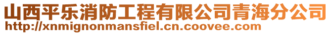 山西平樂消防工程有限公司青海分公司