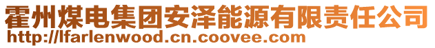 霍州煤电集团安泽能源有限责任公司