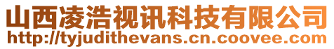 山西凌浩視訊科技有限公司