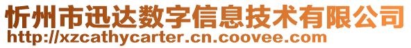 忻州市迅達(dá)數(shù)字信息技術(shù)有限公司