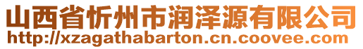 山西省忻州市潤澤源有限公司