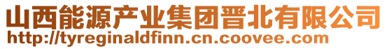 山西能源产业集团晋北有限公司