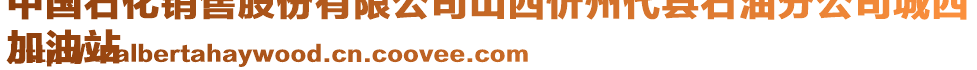 中國(guó)石化銷售股份有限公司山西忻州代縣石油分公司城西
加油站