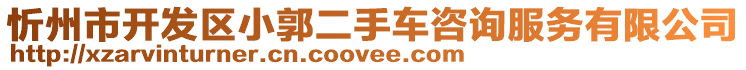 忻州市開發(fā)區(qū)小郭二手車咨詢服務(wù)有限公司