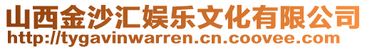 山西金沙匯娛樂文化有限公司