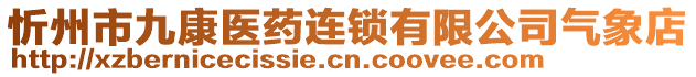 忻州市九康醫(yī)藥連鎖有限公司氣象店