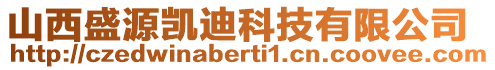 山西盛源凯迪科技有限公司