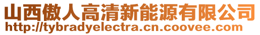 山西傲人高清新能源有限公司