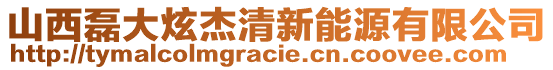 山西磊大炫杰清新能源有限公司