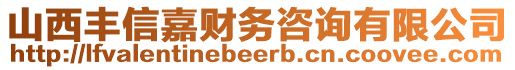 山西豐信嘉財(cái)務(wù)咨詢有限公司