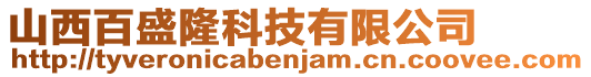 山西百盛隆科技有限公司