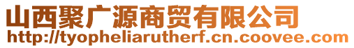 山西聚廣源商貿(mào)有限公司