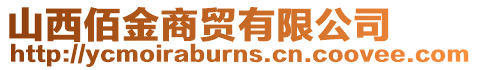 山西佰金商貿有限公司