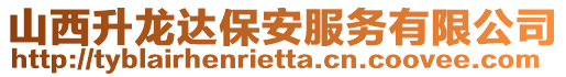 山西升龍達保安服務有限公司