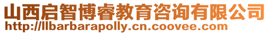 山西啟智博睿教育咨詢有限公司