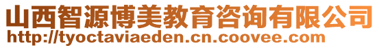 山西智源博美教育咨詢有限公司