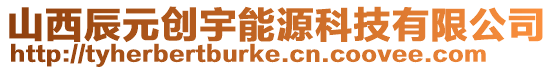 山西辰元创宇能源科技有限公司
