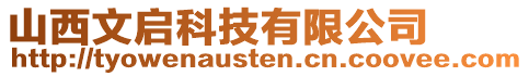 山西文啟科技有限公司