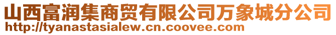 山西富潤集商貿(mào)有限公司萬象城分公司