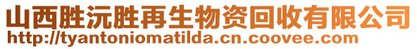 山西勝沅勝再生物資回收有限公司