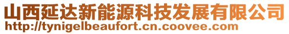 山西延達(dá)新能源科技發(fā)展有限公司