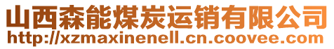 山西森能煤炭運(yùn)銷有限公司