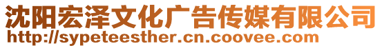 沈陽宏澤文化廣告?zhèn)髅接邢薰? style=