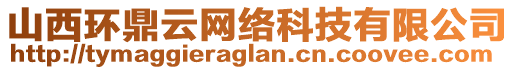 山西环鼎云网络科技有限公司