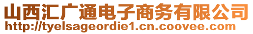 山西匯廣通電子商務(wù)有限公司