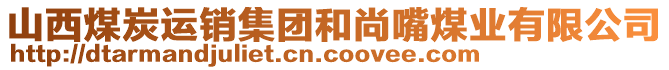 山西煤炭運銷集團和尚嘴煤業(yè)有限公司