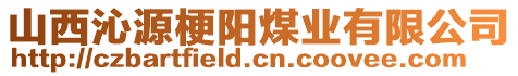 山西沁源梗陽煤業(yè)有限公司