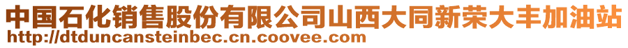 中國(guó)石化銷(xiāo)售股份有限公司山西大同新榮大豐加油站