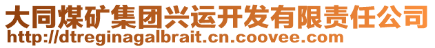 大同煤礦集團興運開發(fā)有限責任公司