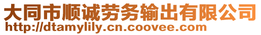 大同市順誠勞務(wù)輸出有限公司