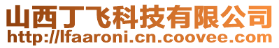 山西丁飛科技有限公司